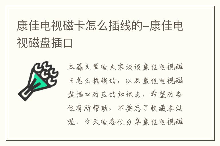 康佳电视磁卡怎么插线的-康佳电视磁盘插口