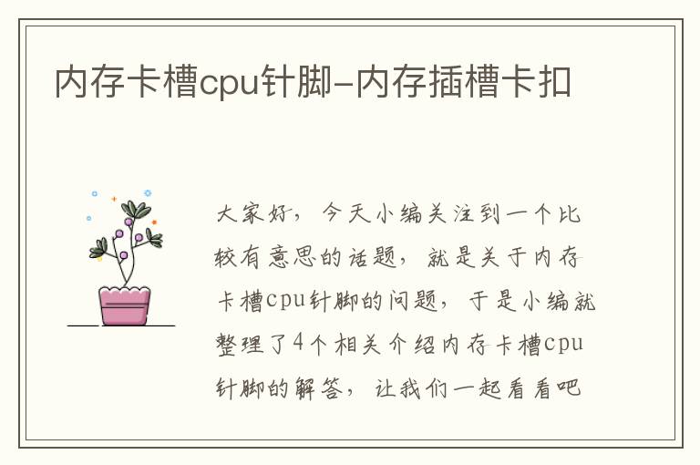 内存卡槽cpu针脚-内存插槽卡扣