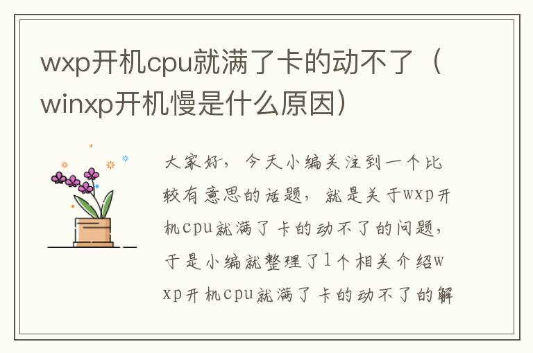 wxp开机cpu就满了卡的动不了（winxp开机慢是什么原因）