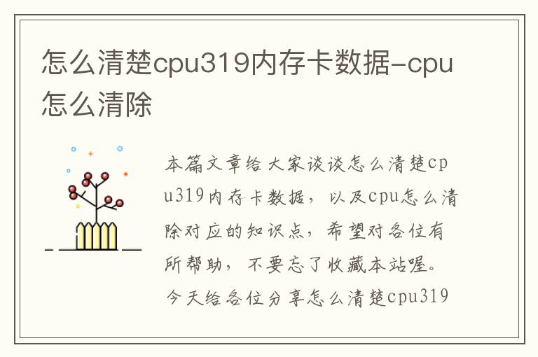 怎么清楚cpu319内存卡数据-cpu怎么清除