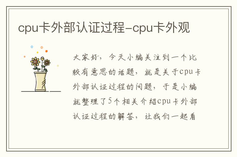 cpu卡外部认证过程-cpu卡外观