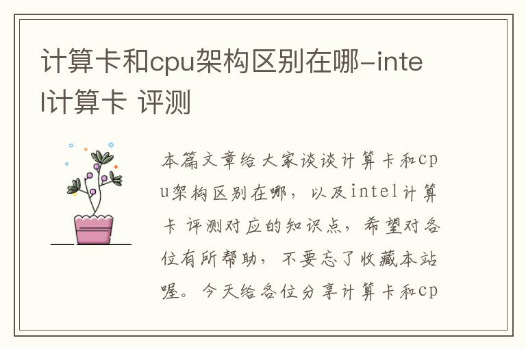 计算卡和cpu架构区别在哪-intel计算卡 评测