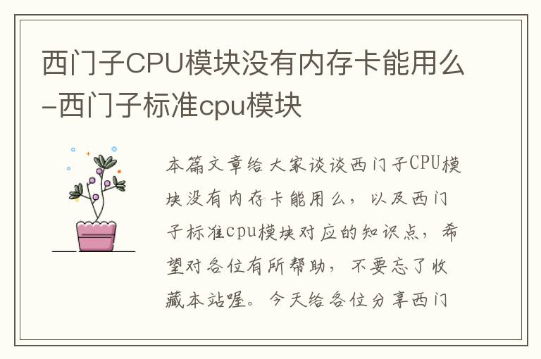 西门子CPU模块没有内存卡能用么-西门子标准cpu模块