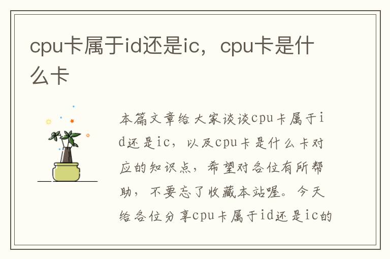 cpu卡属于id还是ic，cpu卡是什么卡