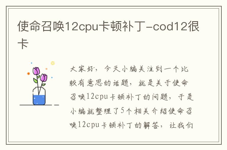 使命召唤12cpu卡顿补丁-cod12很卡